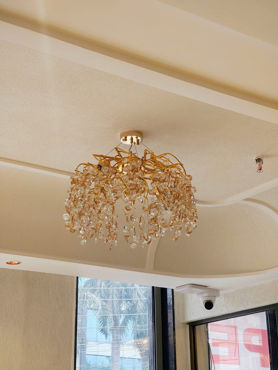 whatsapp image 2026 01 29 at 2.57.43 pm